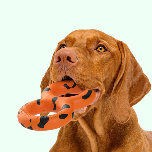 Orange / Medium (30-70 lb)